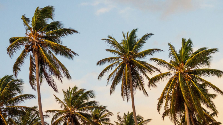 Турист из России рассказал, какие слухи об отдыхе в Абхазии оказались правдой