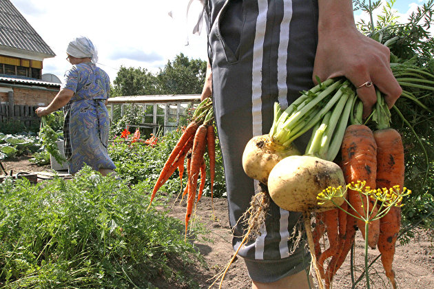 Cognitive Pilot начнет продавать робота для анализа почвы в 2026 году