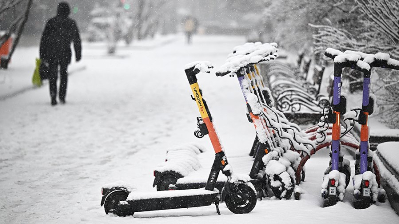 Минтранс России призвал создать инфраструктуру для электросамокатов