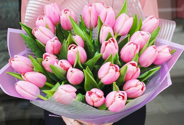 Тюльпаны: где заказать букеты для коллег на 8 марта?