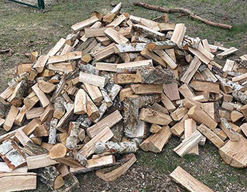 Как выбрать дрова? Дрова с доставкой в Минске от компании Е-Дрова