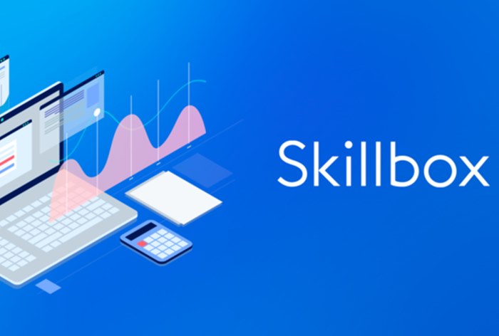 Онлайн-школа Skillbo: описание, направления обучения, отзывы