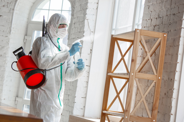 Санэпидемстанция Москвы: функции, контроль, услуги