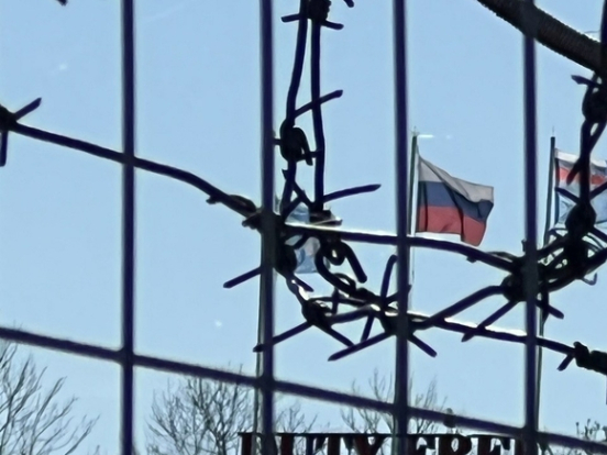 Таможня Литвы ужесточит контроль подсанкционных товаров