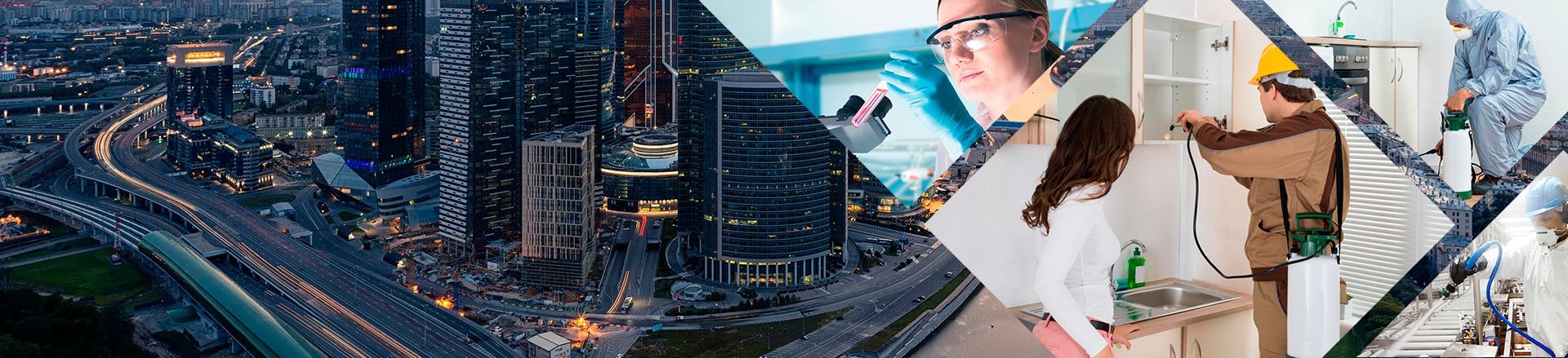 Дезинсекция: эффективные методы борьбы с вредителями